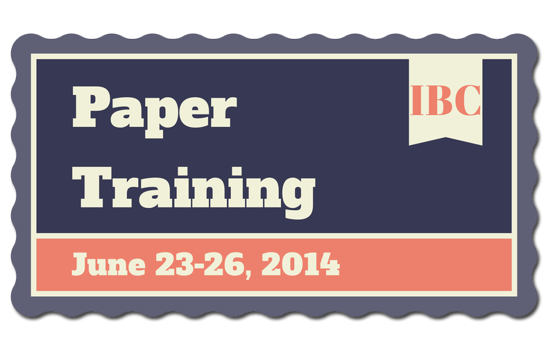 IBC Paper Training Offers Online Courses for Pulp and Paper Professionals